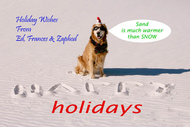 20101224-agnew christmas card 2010 shrunk.jpg