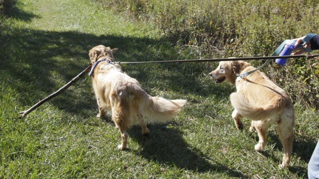 20121003-20120928__MG_0127.JPG