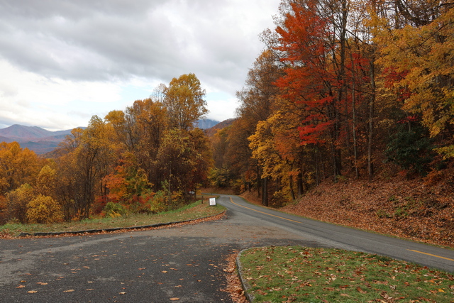 20221102-CR7_2737road and trees.JPG